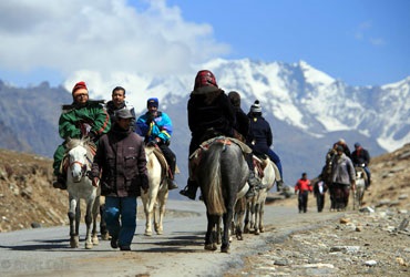Horse Riding In Manali 